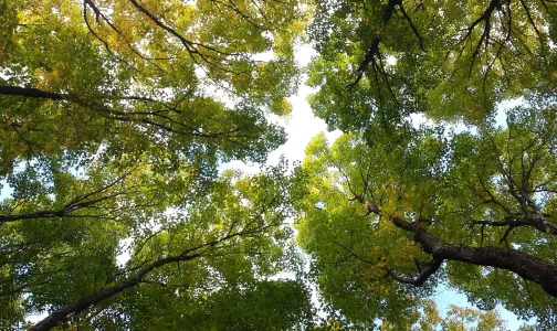 Sustainability
